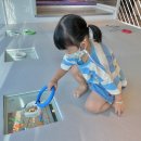 메이릴 | 대전 서구 도안동 키즈카페 메이릴