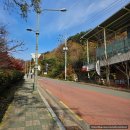 북스테이동상 | 대구 팔공산 힐링 여행 동화사 템플스테이 휴식형 후기