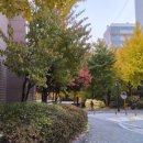 GS25 권선미래점 | 권선자이·이 편한 세상’** 매매·전세·월세 안내** 행복과 안전, 그리고 미래가치를 모두 갖춘...