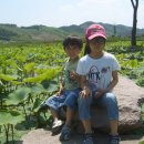 양산동굴공룡박물관 이미지