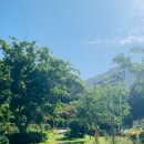 숲속마을파도소리 이미지