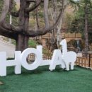 올라알파카 카페 이미지