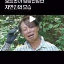 해핑(Happing)