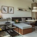 스테이시호일 이미지