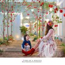 플레인(PLAIN) 이미지