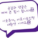 강릉 횟집 솔바로횟집 내돈내고 먹은 솔직 후기.