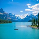 청정장어 이미지