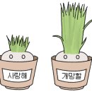 위니드밥 풍산점