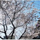 (주)신라원 이미지