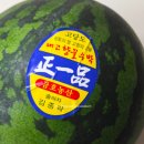 금호농산 이미지