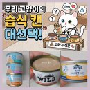 고려에프디 | 집사가 공부해서 고른 ♥ <16살 묘르신 주식캔 > 웨루바·에프디와일드·지위픽 성분 & 비교