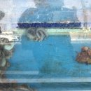 쭈꾸미하우스 이미지