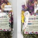 스몰펫하우스 이미지