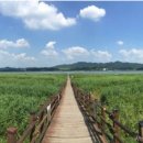 해찬솔길 이미지