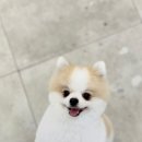 올데이멍 이미지