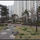 동신3차아파트 앞 이미지