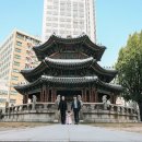 홍연 | 웨스턴 조선호텔 서울 홍연, 돌잔치스냅 후기