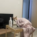 청라바른약국 | 대충 4월의 몇째 주기: 선을 넘어