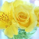 미니네칼국수 이미지