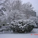 매천로 이미지