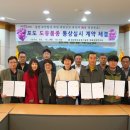 스타캔디 이미지