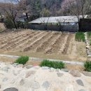 대관대리농장 이미지