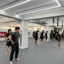 하바스MMA 압구정 이미지