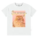 강남-058 이미지