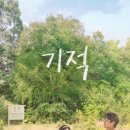 롯데시네마 영등포 2관 이미지