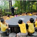 행복한아이유치원 이미지