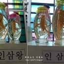금산인삼종합전시관 이미지
