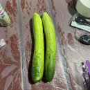 몽산포 솔모래펜션 이미지