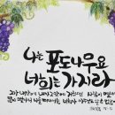 포도나무가지
