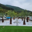 위고고남해 이미지