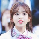 댕댕타임 이미지