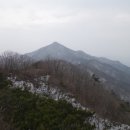 대구상사 이미지