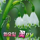 센텀고운선형한의원 네이버블로그