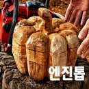 애호박함 톱조각. 이미지