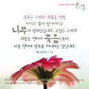 베드로전서 2:11 – 2:25 선행과 순종으로 복음을 보여 주는 성도 / 이미지 첨부 이미지