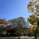 JB 캠핑하우스 | 경기/파주 캠핑장 : JB캠핑하우스 | 캠핑, 감악산캠핑장, 서울근교캠핑장