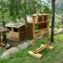 다함한의원 이미지