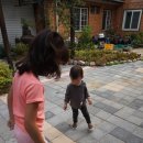 목인동 | 목인동에서 모여랏!!!