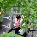 아동종합보호센터 이미지