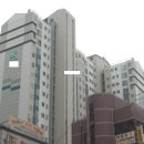 인계동 Daum카페
