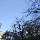 큰나무 네이버블로그