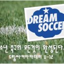 구리남양주축구클럽/드림싸커아카데미 용인블루윙즈 연습경기 사진