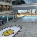 유스워시 | 화성서해마루유스호스텔 아기랑 방문 후기, 4인가족온돌하프오션