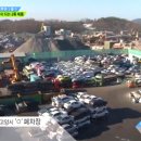 푸른숲과일고양일산