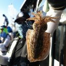 탑클레스 이미지