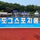 3282 | [양주] 서울 근교 강아지 수영장 대형견 수영장 “도그스포지움”후기
